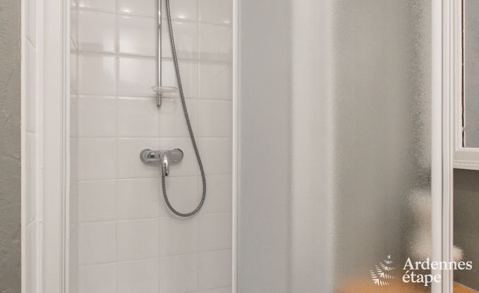 Ferienhaus Dinant (Hastiere) 8 Pers. Ardennen Schwimmbad