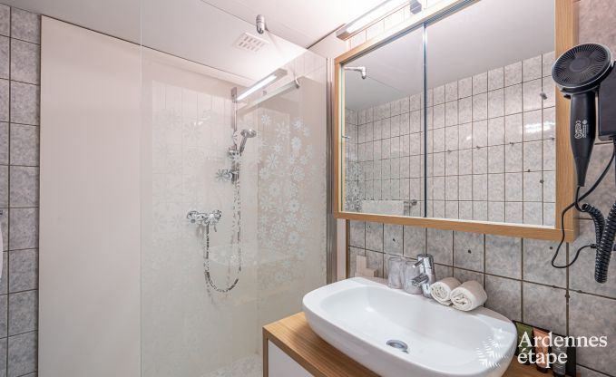 Cottage Dinant 20 Pers. Ardennen Wellness