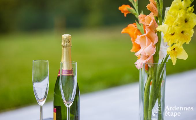 Ferienhaus Dinant 6 Pers. Ardennen