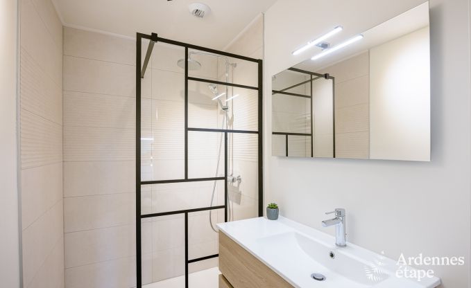 Ferienhaus Dinant 6 Pers. Ardennen