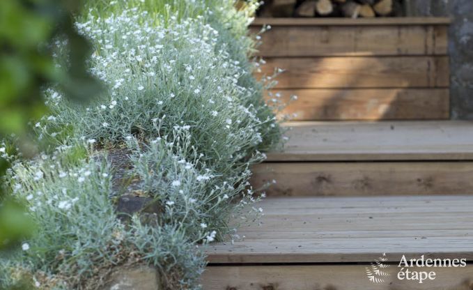 Ferienhaus Dinant 8 Pers. Ardennen Wellness