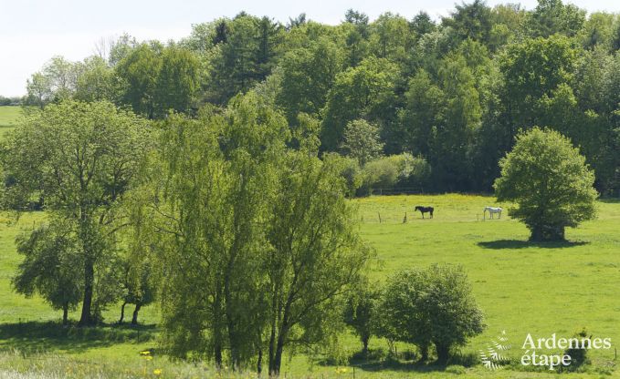 Ferienhaus Dinant 8 Pers. Ardennen Wellness