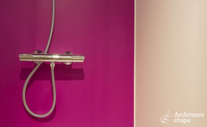 Ferienhaus Dinant 8 Pers. Ardennen Wellness