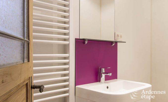 Ferienhaus Dinant 8 Pers. Ardennen Wellness