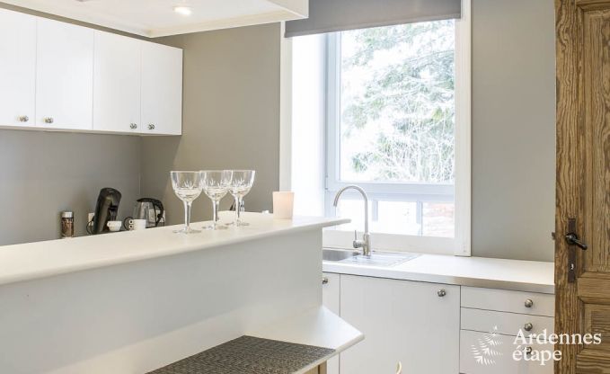 Ferienhaus Dinant 8 Pers. Ardennen Wellness