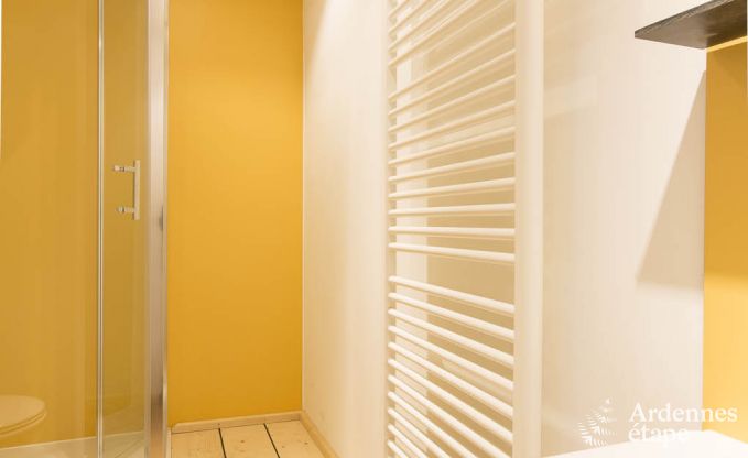 Ferienhaus Dinant 8 Pers. Ardennen Wellness