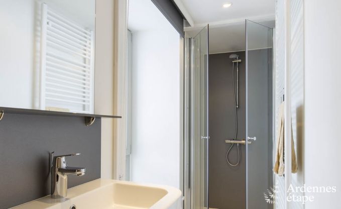 Ferienhaus Dinant 8 Pers. Ardennen Wellness