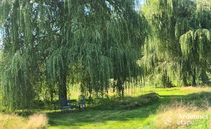 Ferienhaus Doische 9 Pers. Ardennen