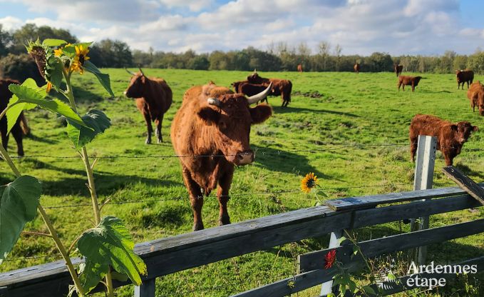 Ferienhaus Doische 9 Pers. Ardennen