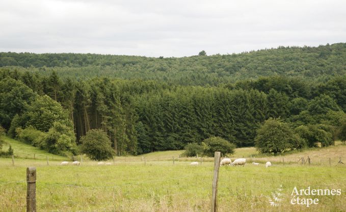 Ferienhaus Durbuy (Izier) 12 Pers. Ardennen