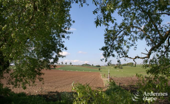 Ferienhaus Durbuy (Man) 18 Pers. Ardennen