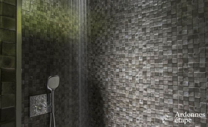 Ferienhaus Durbuy 14 Pers. Ardennen Behinderten gerecht