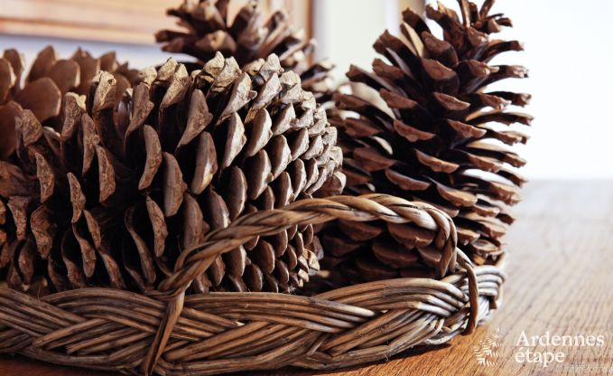 Ferienhaus in Durbuy: 32 Personen, 12 Schlafzimmer, privater Garten, Herz der belgischen Ardennen