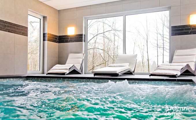 Luxusvilla mit Schwimmbad und Wellnessbereich für 9 Personen in Durbuy