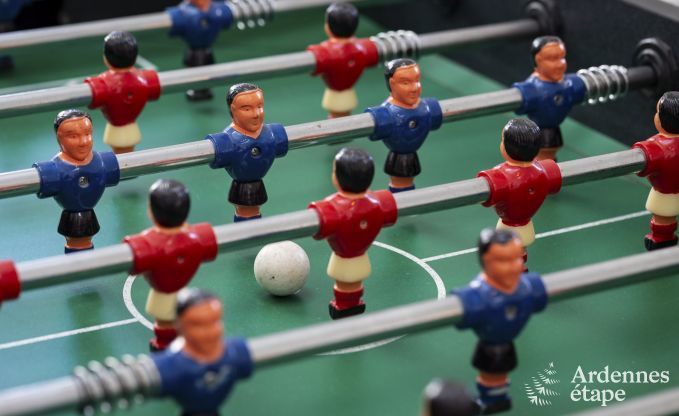 Ferienhaus Durbuy 10 Pers. Ardennen Wellness