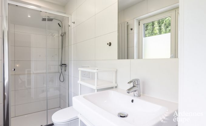 Ferienhaus Durbuy 10 Pers. Ardennen Wellness