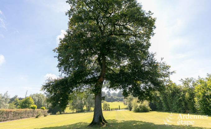 Luxusvilla Durbuy 11 Pers. Ardennen Schwimmbad Wellness