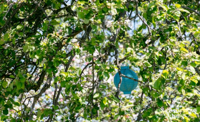 au�ergew�hnliche Ferienwohnung Erezee 2/3 Pers. Ardennen