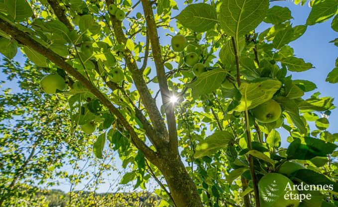 Ferienhaus mit berdachter Whirlpool Ereze 16 Pers. Ardennen