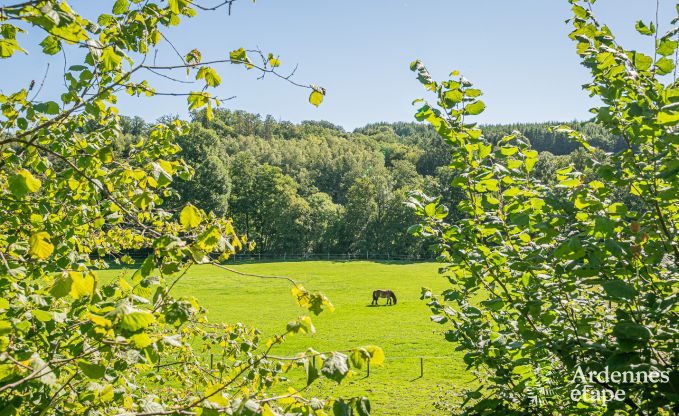 Ferienhaus mit berdachter Whirlpool Ereze 16 Pers. Ardennen