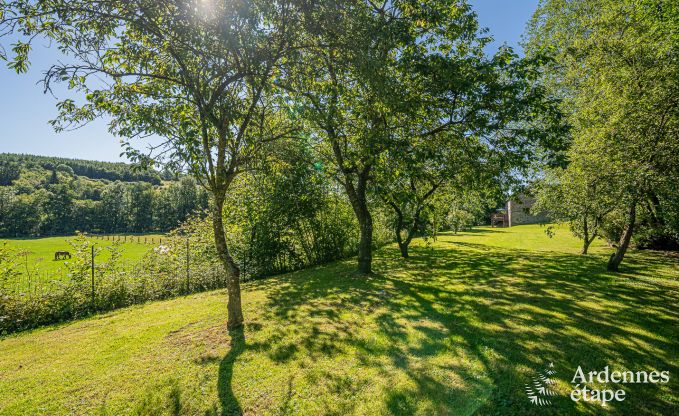 Ferienhaus mit berdachter Whirlpool Ereze 16 Pers. Ardennen