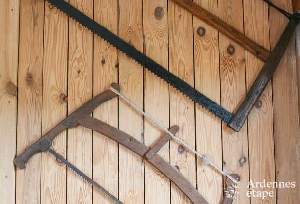 Gerumiges Haus fr 12 Personen in Ereze, 6 Schlafzimmer, Sauna, Jacuzzi, Spielzimmer, Ardennen