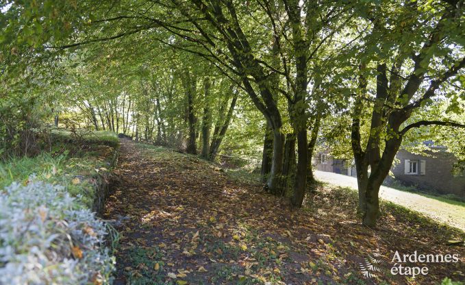 Cottage Fala�n 13 Pers. Ardennen