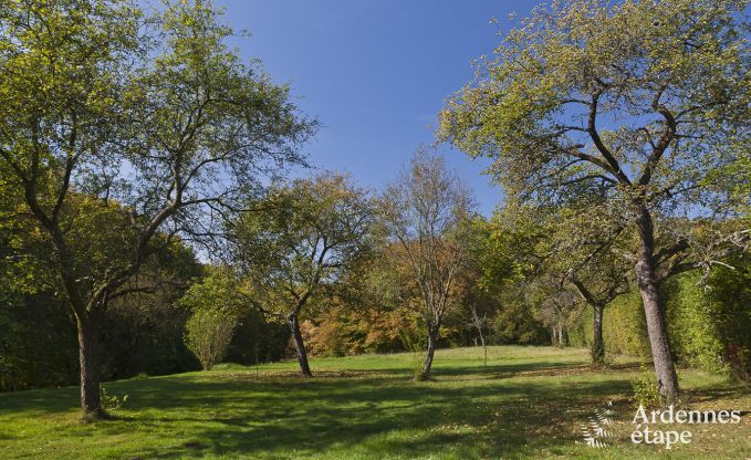 Cottage Fala�n 13 Pers. Ardennen