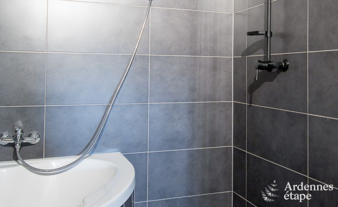 Ferienhaus Fauvillers 8 Pers. Ardennen Wellness