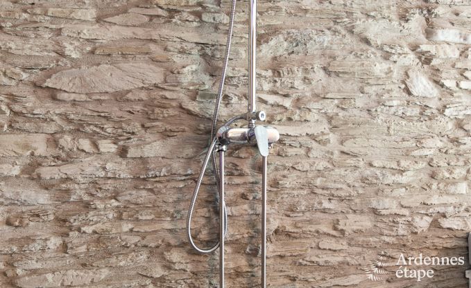 Ferienhaus Fauvillers 8 Pers. Ardennen Wellness