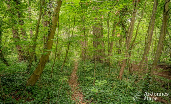 Ferienhaus Fernelmont 2/4 Pers. Ardennen Wellness