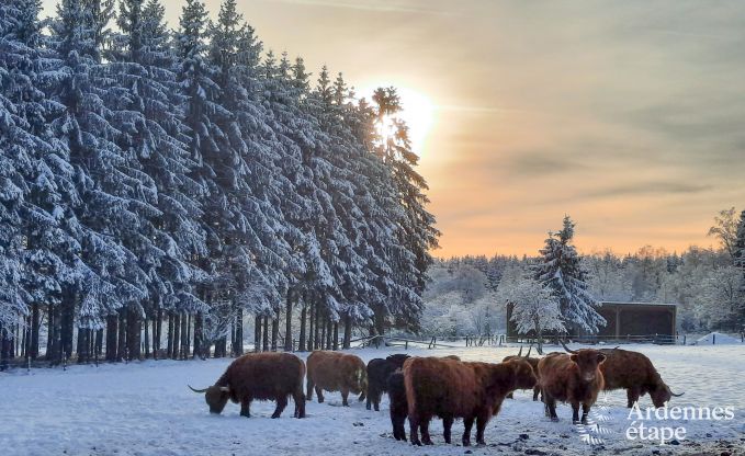 Romantischer Ausflug in die Ardennen: Ungewhnliches Haus in Francorchamps fr 2 Personen, garantierte Naturerlebnis