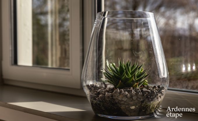 Luxusvilla Francorchamps 9 Pers. Ardennen Wellness