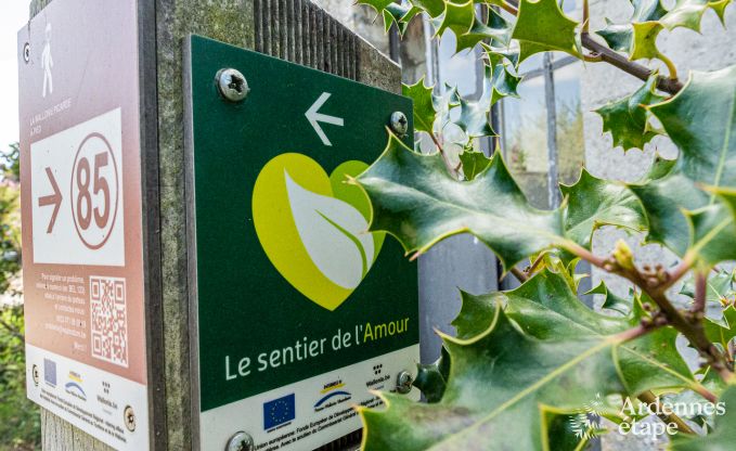 Wohnung Frasnes-lez-Anvaing 4/5 Pers. Ardennen Schwimmbad Wellness