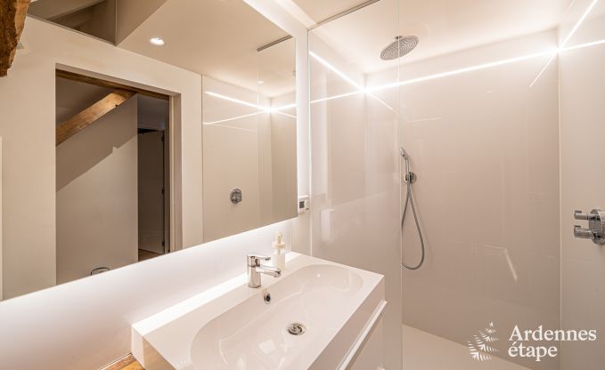 Wohnung Frasnes-lez-Anvaing 4/5 Pers. Ardennen Schwimmbad Wellness