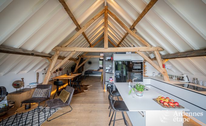 Wohnung Frasnes-lez-Anvaing 4/5 Pers. Ardennen Schwimmbad Wellness