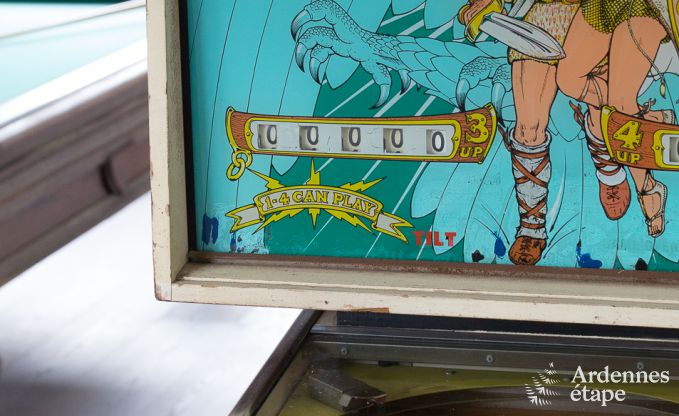 Ferienhaus f�r 14 Personen in der N�he von Lacs de l'Eau d'Heure