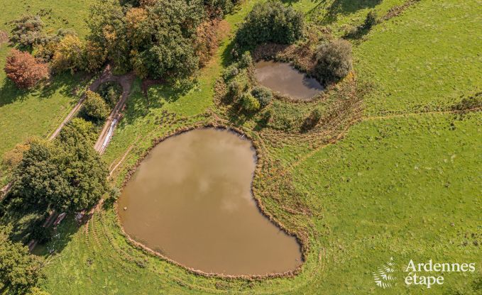 Gemtliches und hundefreundliches Ferienhaus fr 4 Personen in Gesves, Ardennen