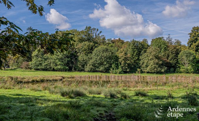 Gemtliches und hundefreundliches Ferienhaus fr 4 Personen in Gesves, Ardennen