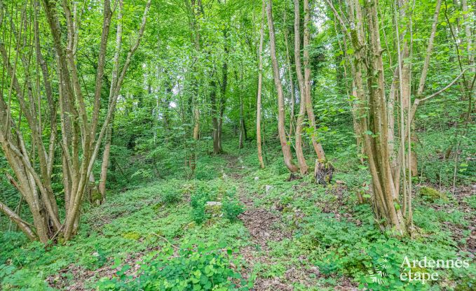Luxurises Herrenhaus in Gesves, Belgische Ardennen