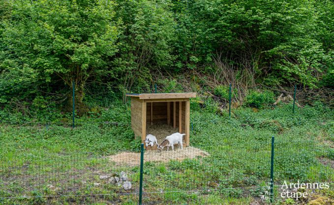 Luxurises Herrenhaus in Gesves, Belgische Ardennen
