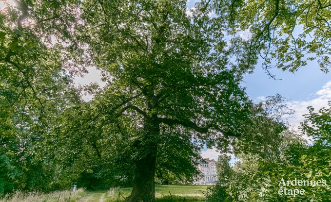 Schloss Hannut 8 Pers. Ardennen