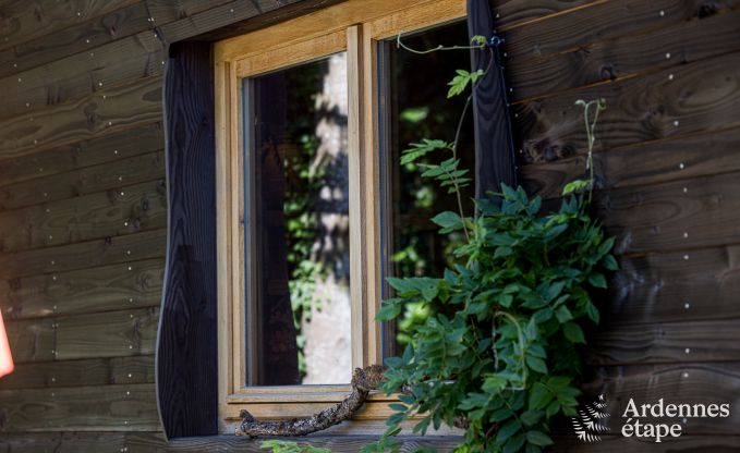 auergewhnliche Ferienwohnung Havelange 2 Pers. Ardennen