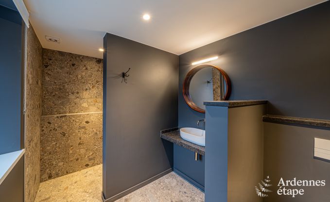 Luxusvilla fr 14 Personen in Havelange mit privatem Garten und modernen Annehmlichkeiten in den Ardennen