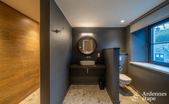 Luxusvilla fr 14 Personen in Havelange mit privatem Garten und modernen Annehmlichkeiten in den Ardennen