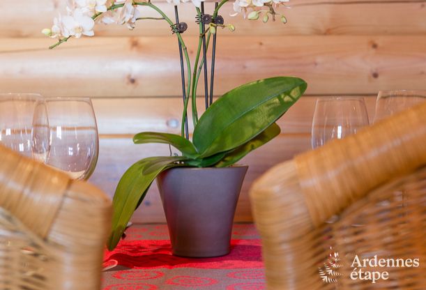 Ferienhaus Hockai 4/5 Pers. Ardennen