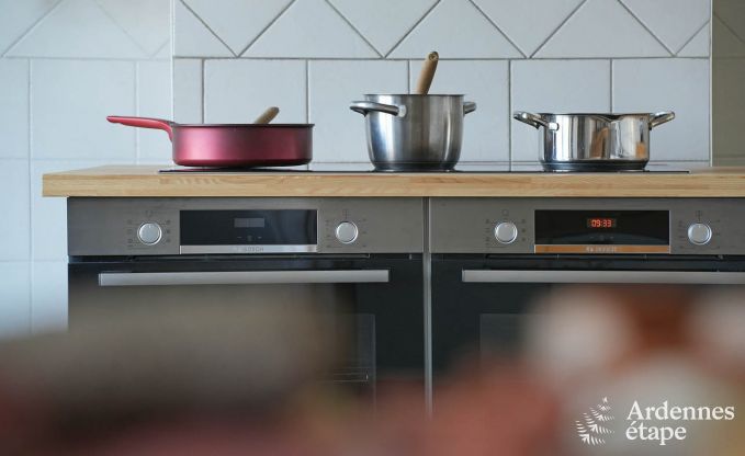 Schloss Hockai 20 Pers. Ardennen Schwimmbad Wellness