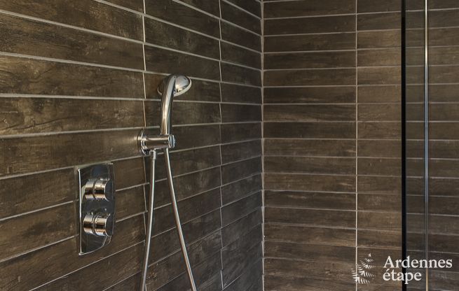 Cottage Hotton 9 Pers. Ardennen Wellness