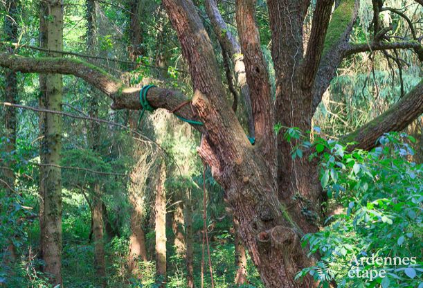 Cottage Hotton 9 Pers. Ardennen Wellness