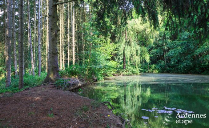 Cottage Hotton 9 Pers. Ardennen Wellness